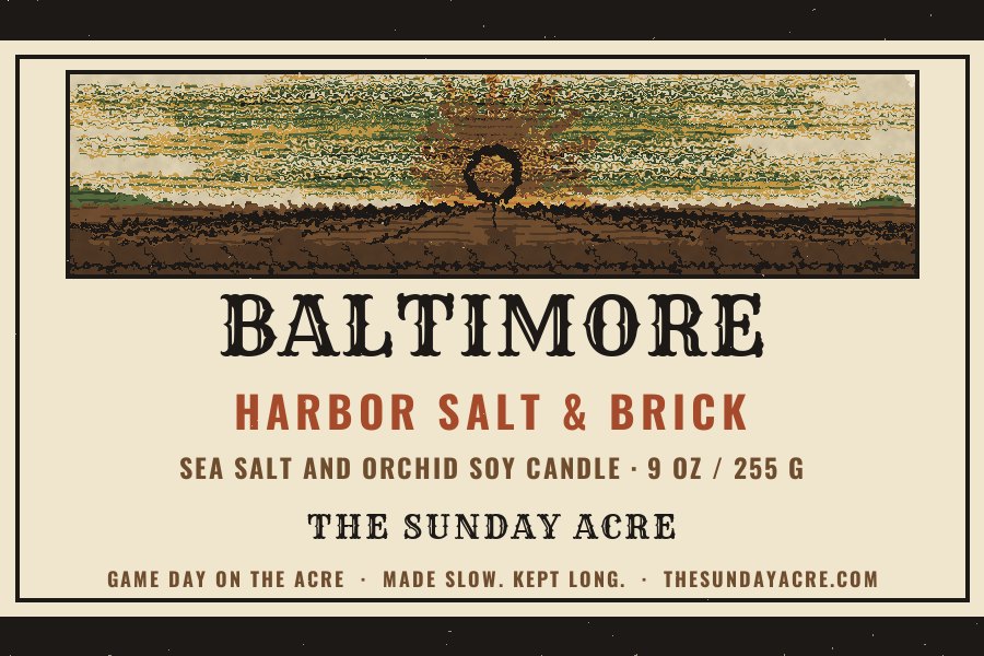 Baltimore — Harbor Salt & Brick — 9 oz Soy Candle