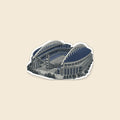 Seattle stadium sticker