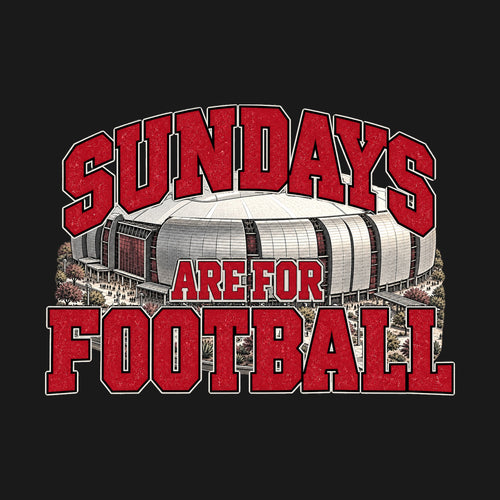 Design · Arizona · Sundays on the Acre stadium art
