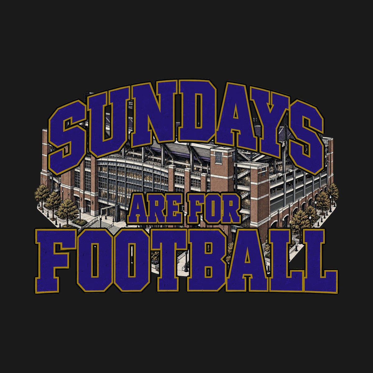 Design · Baltimore · Sundays on the Acre stadium art