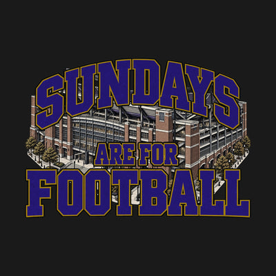 Design · Baltimore · Sundays on the Acre stadium art