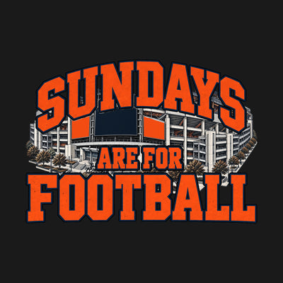 Design · Denver · Sundays on the Acre stadium art