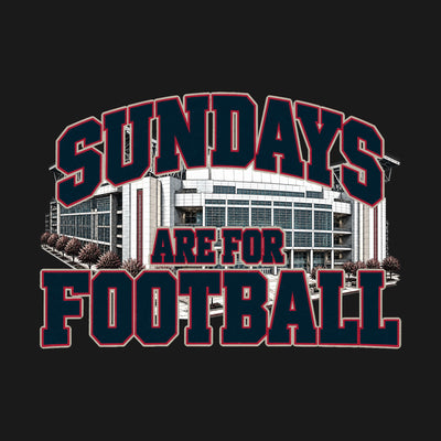 Design · Houston · Sundays on the Acre stadium art